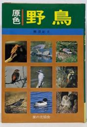 原色・野鳥
