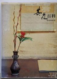 茶花百科