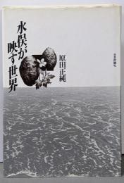 水俣が映す世界