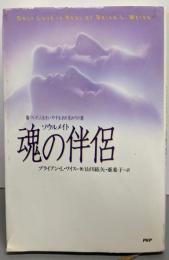 魂の伴侶: 傷ついた人生をいやす生れ変わりの旅