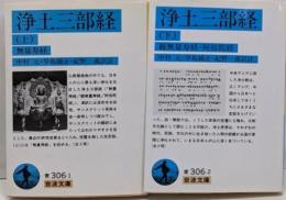 浄土三部経 上下巻セット (観無量寿経・阿弥陀経)<岩波文庫　無量経　観無量寿仏経 阿弥陀経>