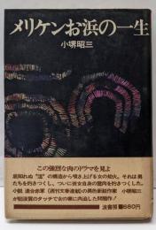 メリケンお浜の一生