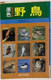 原色・野鳥
