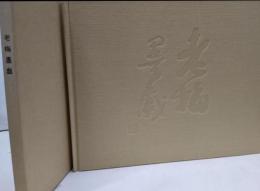 老梅墨戯（梅舒適水墨画篆刻作品集）