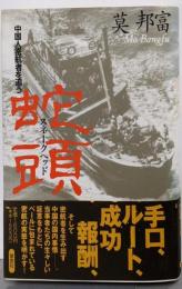 蛇頭(スネークヘッド): 中国人密航者を追う