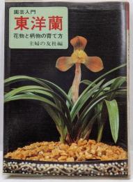 東洋蘭 : 花物と柄物の育て方<園芸入門>