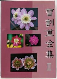 雪割草全集 2