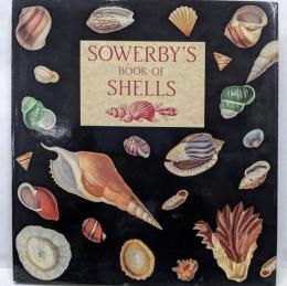 Sowerby's Book of Shells　サワビーズの貝殻の本
