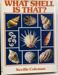 What shell is that? 　洋書/貝
