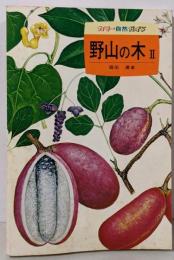 野山の木 2 (2) (カラー自然ガイド 26)