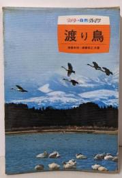 渡り鳥<カラー自然ガイド>