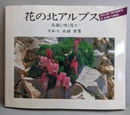 花の北アルプス ～高嶺に咲く花々～
