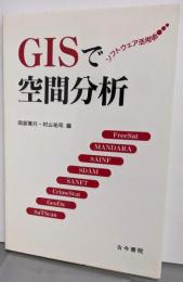 GISで空間分析: ソフトウェア活用術