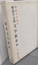 野田宇太郎文学散歩 第10巻 (関東文学散歩)