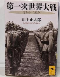 第一次世界大戦 : 忘れられた戦争<講談社学術文庫1976>