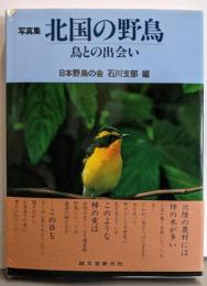 写真集 北国の野鳥: 鳥との出会い