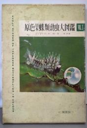 原色日本蝶類幼虫大図鑑〈第1巻〉