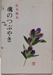 魂のつぶやき