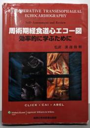 周術期経食道心エコー図: 効率的に学ぶために