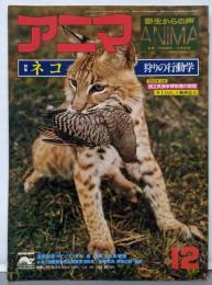 野生からの声ANIMA　アニマ 1977年12月号（特集：ネコ・狩りの行動学）