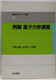 例解量子力学演習<物理入門コース/演習 3>