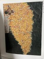 図録 みんなの心に生きた 山下清 1985 山下清展企画室 式場 俊三