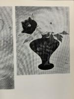 図録 天心と現代日本画展 1972 東京セントラル美術館 天心と現代日本画展 委員