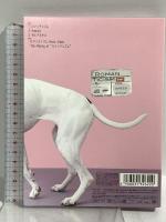 Mrs.GREEN APPLE ロマンチシズム Romanticism ユニバーサルミュージック ミセスグリーンアップル DVD+CD 2枚組