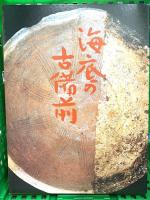 海底の古備前―水ノ子岩学術調査記録 (1978年) 山陽新聞社 山陽新聞社