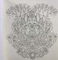 「めむれる森」夢いっぱいのぬりえブック 発行：グラフィック社 著：ジョハンナ・バスフォード 2016年