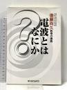 電波とはなにか? 第2版: 後藤尚久教授の講義 情報通信振興会 後藤 尚久