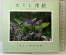 スミレ讃歌: 春の野山から花便り 新井二郎写真集 講談社 新井 二郎