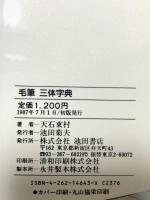 毛筆三体字典 (ウィッチ・ブックス) 池田書店 天石 東村