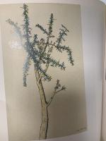 図録 ルシアン・フロイド展 1992 LUCIAN FREUD 東京新聞 栃木県立美術館