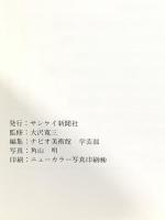 図録 近代フランス絵画展 コローからビュッフェまで 1988 サンケイ新聞社