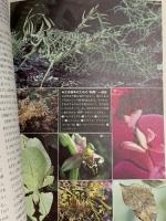 図録 ダーウィン展 読売新聞東京本社 国立科学博物館 2008