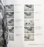 繭で作るアートフラワーとクラフト-四季を彩る楽しい繭工芸- 蚕糸の光編 平成9年