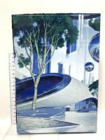 BRiGHT FUTURE (初回生産限定盤) avex trax EMPiRE [Blu-ray+CD] 2枚組