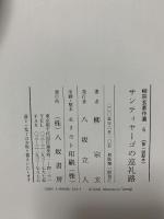 サンティヤーゴの巡礼路 (柳宗玄著作選 6) 八坂書房 柳 宗玄