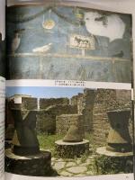 図録 ポンペイ 今日と2000年前の姿 ボネキ出版社