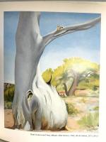 洋書 図録 The Art Life of Georgia O’Keeffe