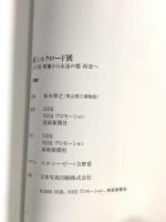 図録 新 シルクロード展 幻の都 桜蘭から 永遠の都 西安へ 2005 NHKプロモーション 産経新聞社