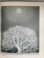 図録 東山魁夷 米寿記念 1995 長野県信濃美術館 日本経済新聞社