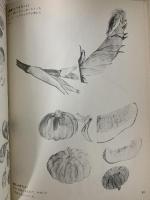 図録 柴田是真の写生帖 福田徳樹 1980 グラフィック社