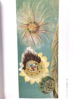 図録 泉茂展 1996年 伊丹市立美術館