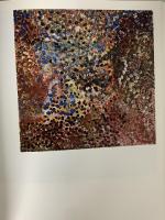 図録 エミリー・ウングワレー展 アボリジニが生んだ天才画家 Emily Kame Kngwarreye 2008 読売新聞東京本社
