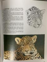 洋書 図録 Charles Beckendorf TEXAS WILDLIFE 1992 Charles Beckendorf