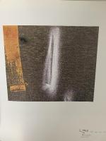 図録 田中竜児 作品 抄 1993 日本写真印刷株式会社