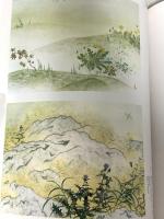 図録 横山大観 朝日新聞社 2004 京都国立近代美術館