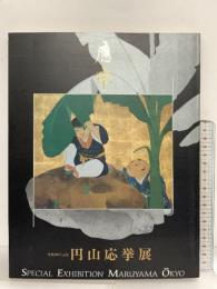 図録 没後200年記念 円山応挙展 平成6年 「円山応挙展」全国実行委員会